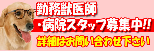 勤務獣医師・病院スタッフ募集！